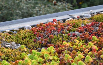 the cost of Beltingham green roof installation