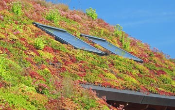 Beltingham living roof systems