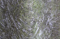 Beltingham fibreglass roof work